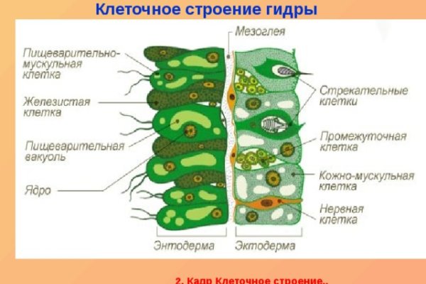 Kraken это